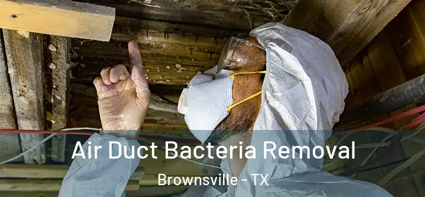  Air Duct Bacteria Removal Brownsville - TX