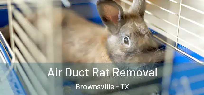  Air Duct Rat Removal Brownsville - TX