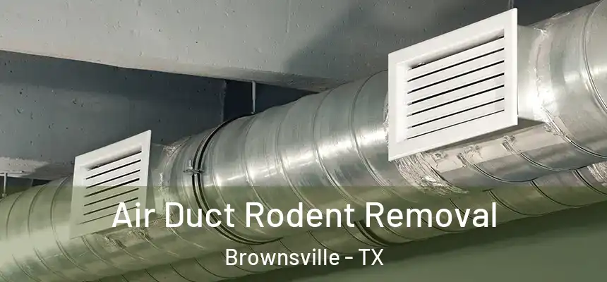  Air Duct Rodent Removal Brownsville - TX