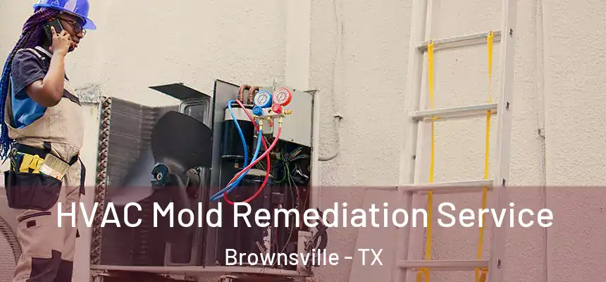  HVAC Mold Remediation Service Brownsville - TX
