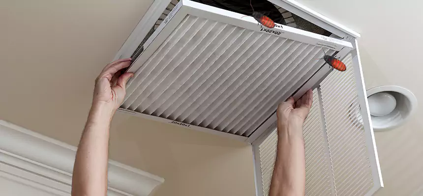 Preventive Cockroach-Proofing for Ducts in Brownsville