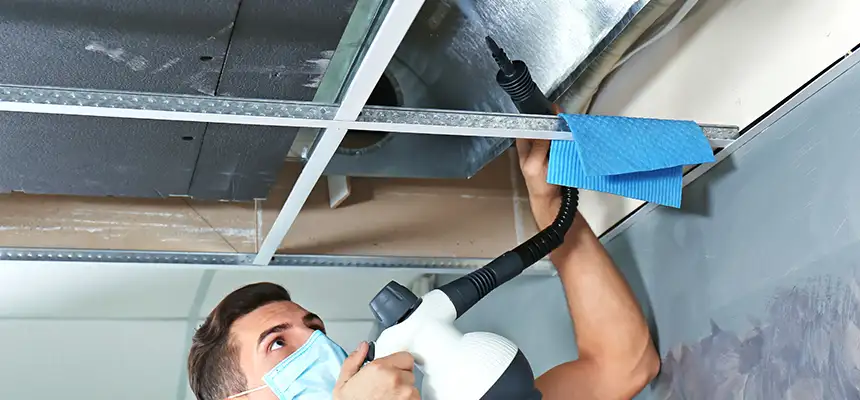 Our Air Duct Rodent Removal Services in Brownsville, TX