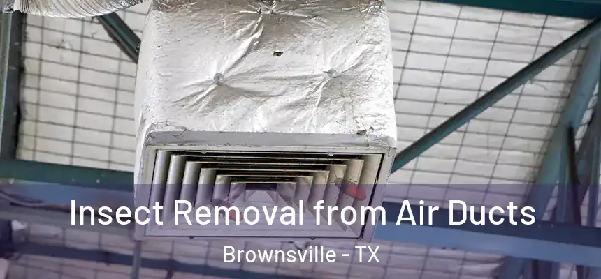  Insect Removal from Air Ducts Brownsville - TX