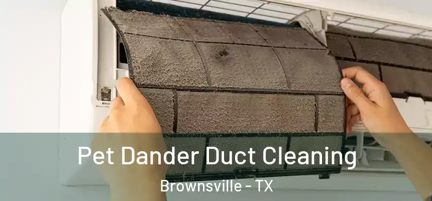  Pet Dander Duct Cleaning Brownsville - TX