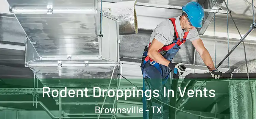  Rodent Droppings In Vents Brownsville - TX