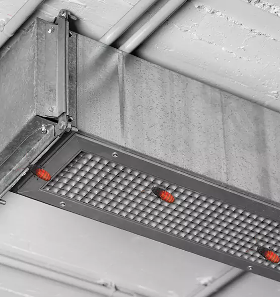 About Air Duct Cockroach Removal in Brownsville, TX