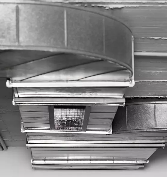 Professional Air Duct Pet Hair Removal in Brownsville, TX