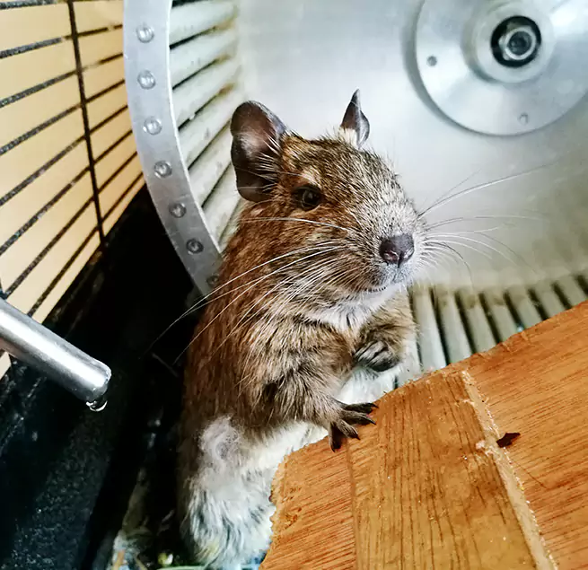 Why Homeowners & Businesses Trust Us Brownsville, TX?